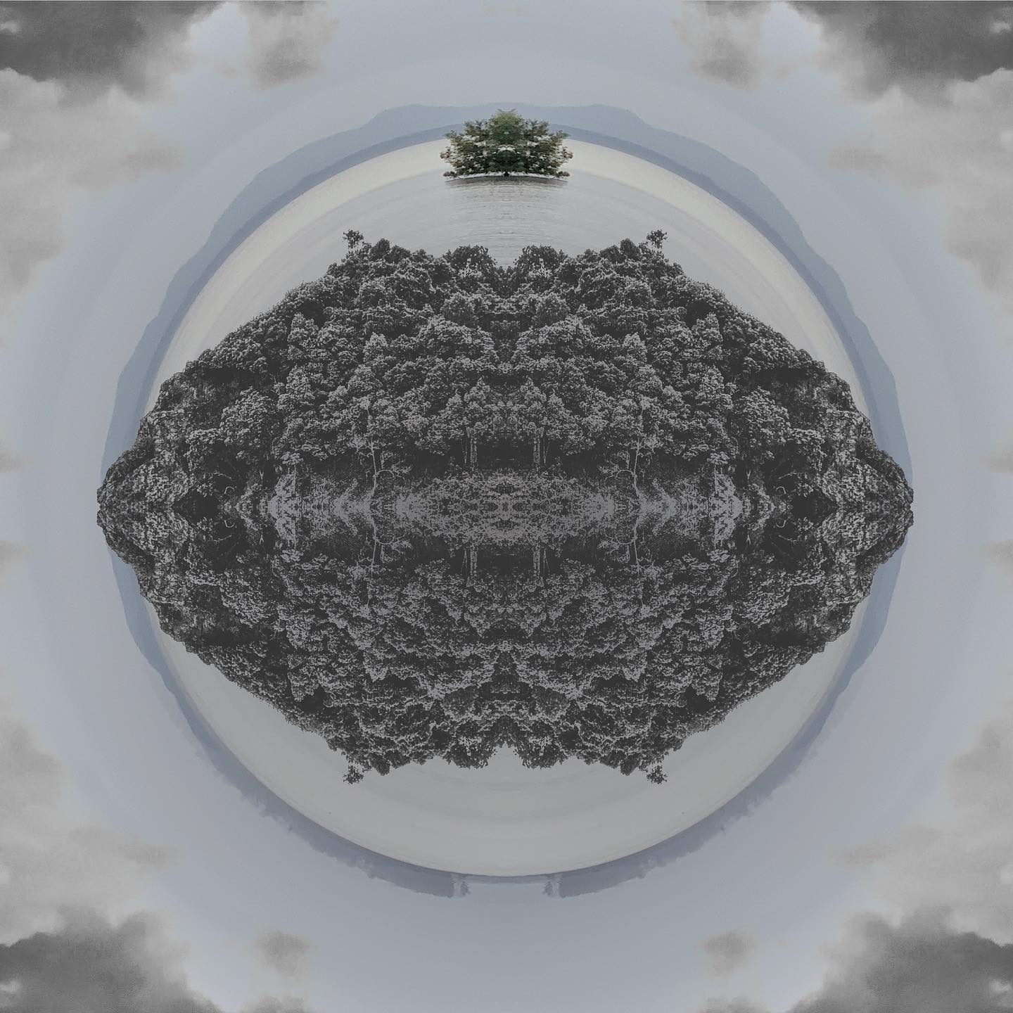mirrored forest in circular frame