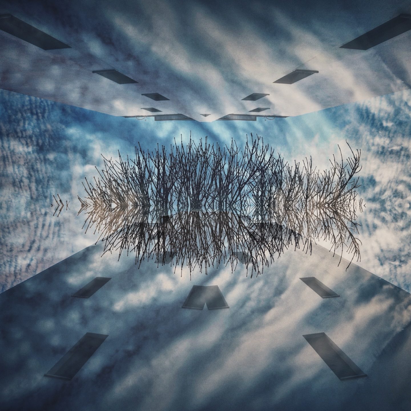 mirrored tree reflections in abstract sky